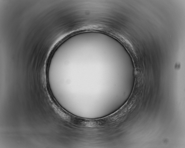 X0000099990792200806131433