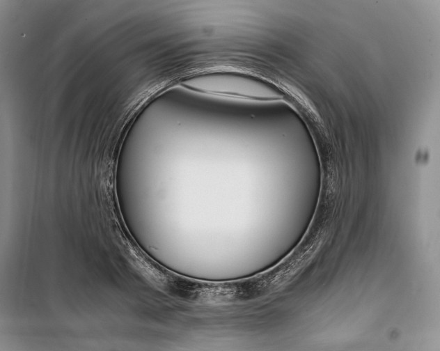 X0000099990793200806131433