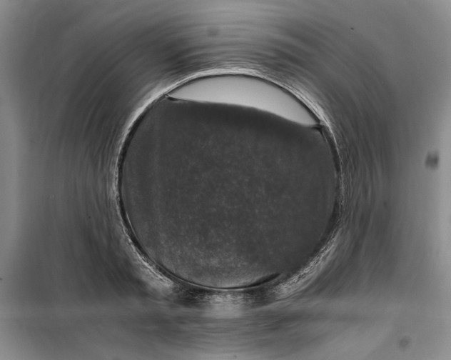 X0000099990797200806131433