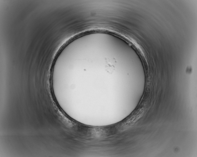 X0000099990799200806131433