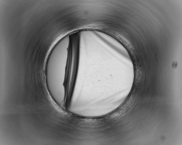 X0000099990800200806131433