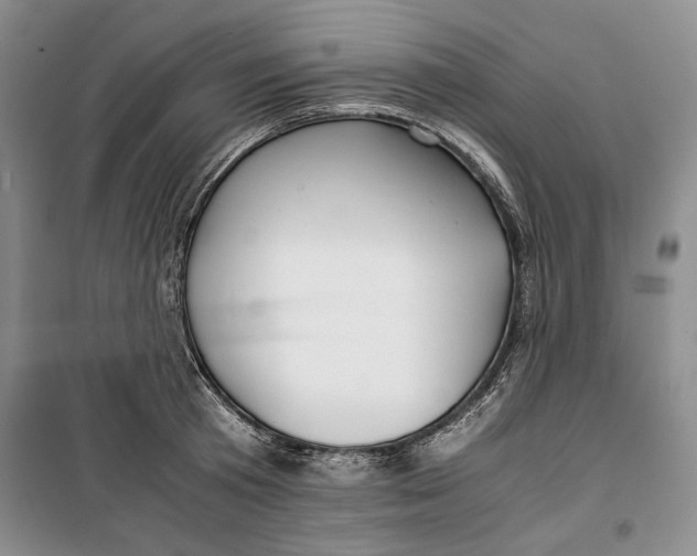 X0000099990801200806131433