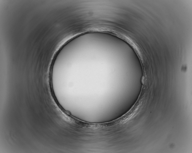 X0000099990803200806131433