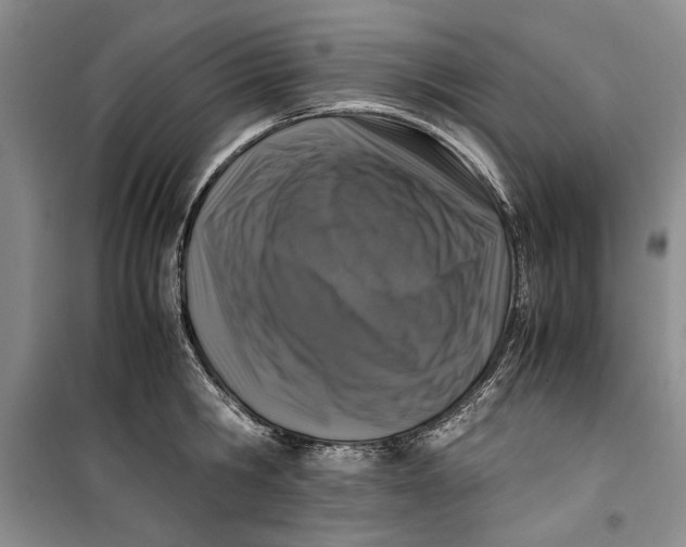 X0000099990806200806131433