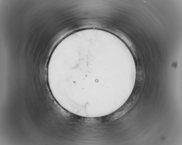 X0000099990807200806131433