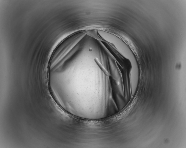 X0000099990808200806131433