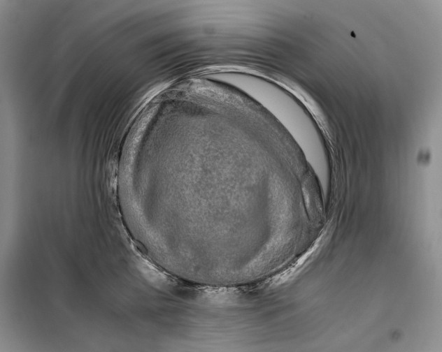 X0000099990809200806131433