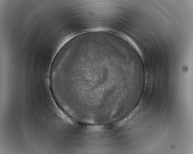 X0000099990810200806131433