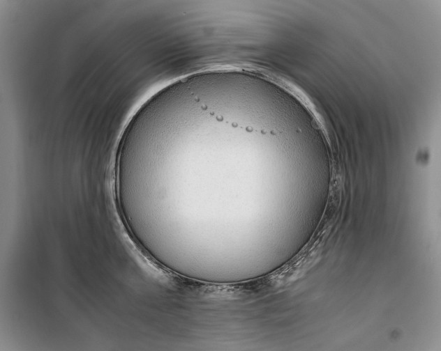 X0000099990811200806131433