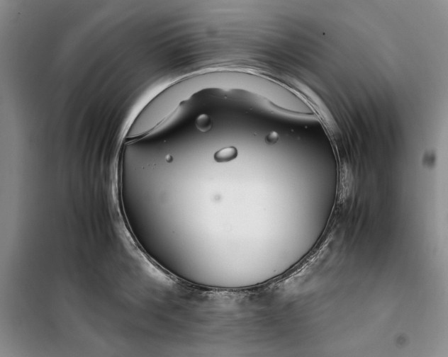 X0000099990812200806131433