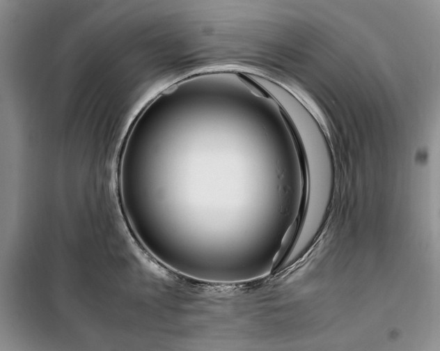 X0000099990813200806131433