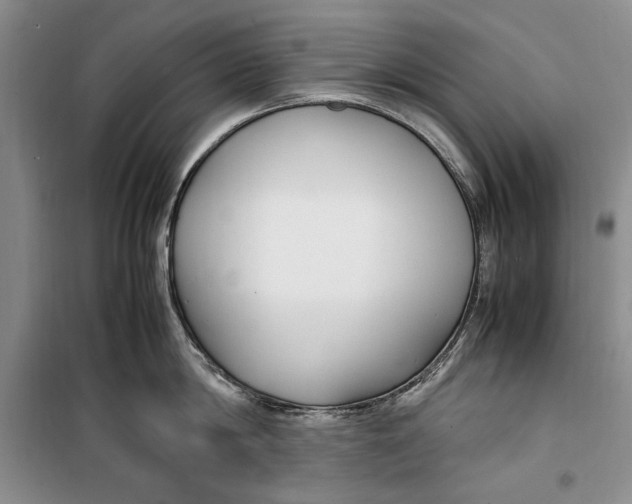 X0000099990814200806131433