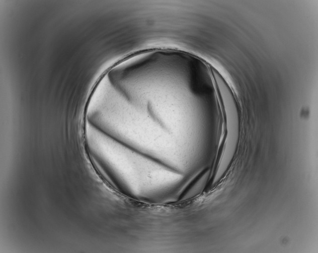 X0000099990815200806131433