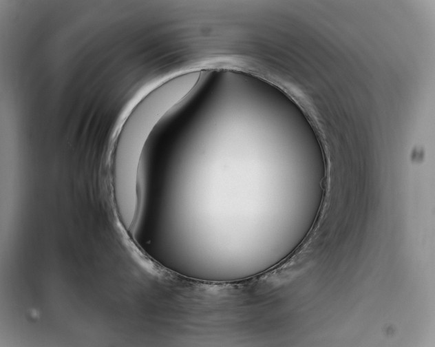 X0000099990816200806131433