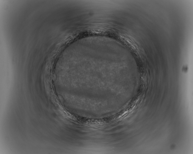 X0000099990817200806131432