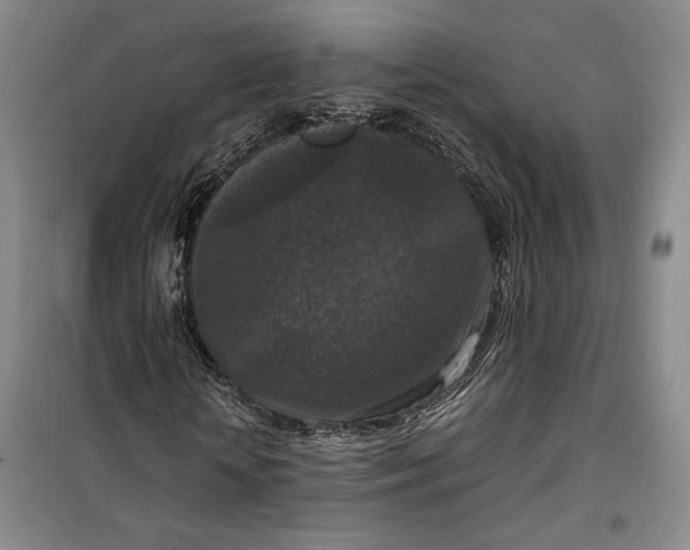 X0000099990818200806131432