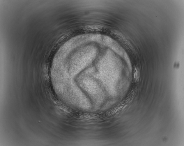 X0000099990819200806131432