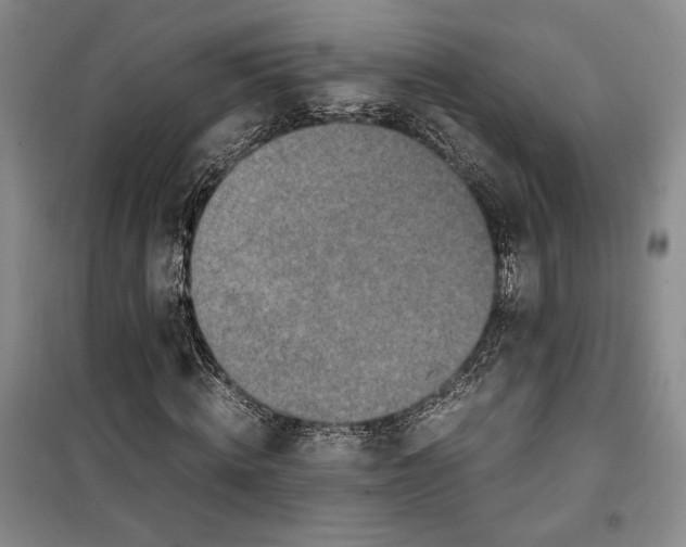 X0000099990820200806131432