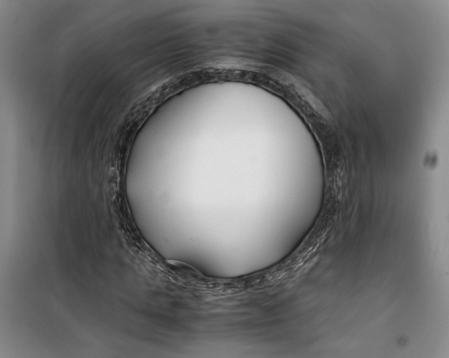 X0000099990821200806131432