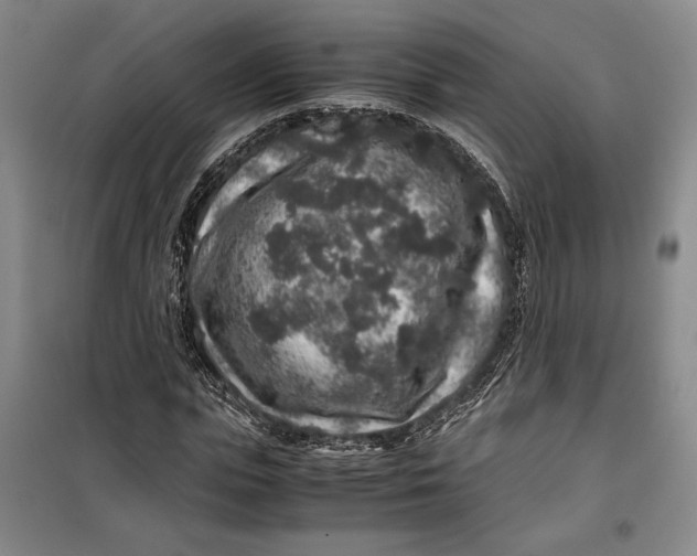 X0000099990823200806131432