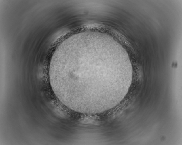 X0000099990824200806131432