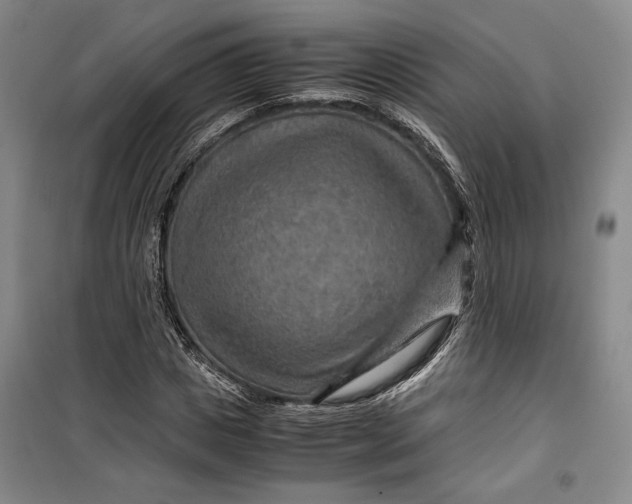 X0000099990825200806131432