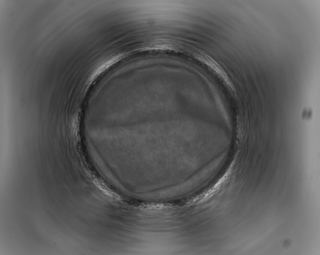 X0000099990826200806131432