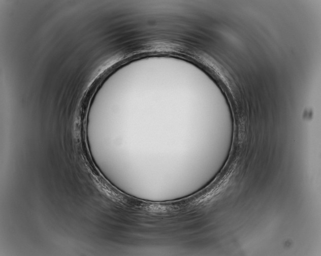 X0000099990827200806131432