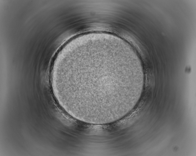 X0000099990828200806131432