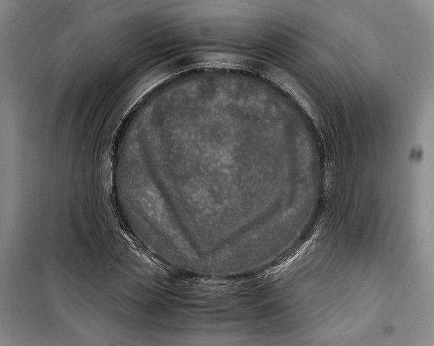 X0000099990829200806131432