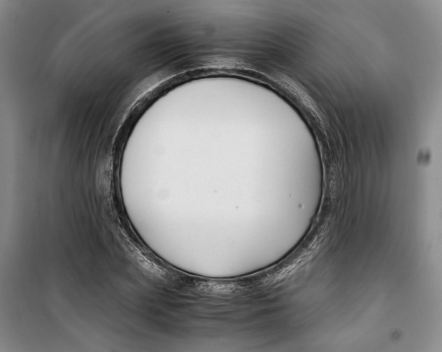 X0000099990831200806131432