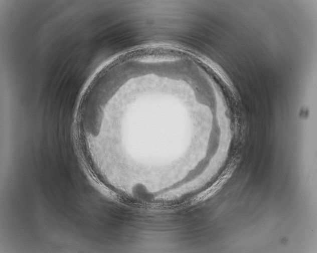 X0000099990832200806131432