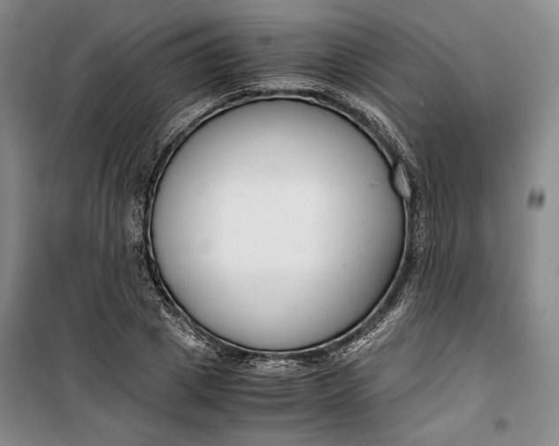 X0000099990833200806131432