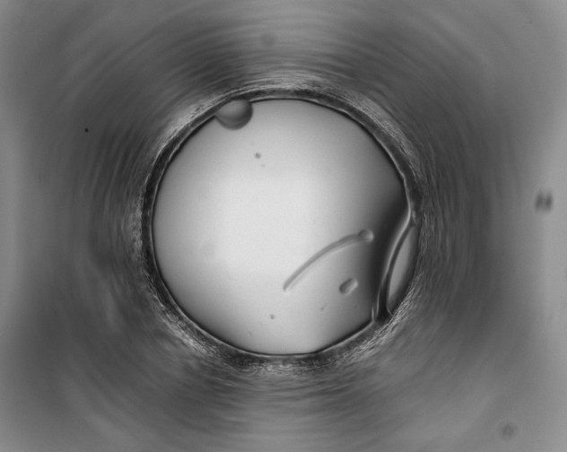 X0000099990834200806131432