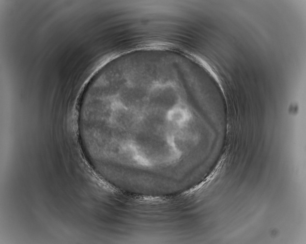 X0000099990835200806131433