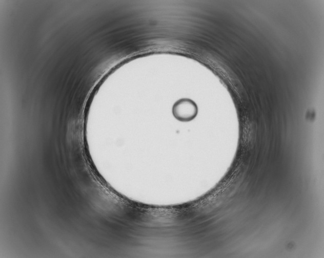 X0000099990836200806131433