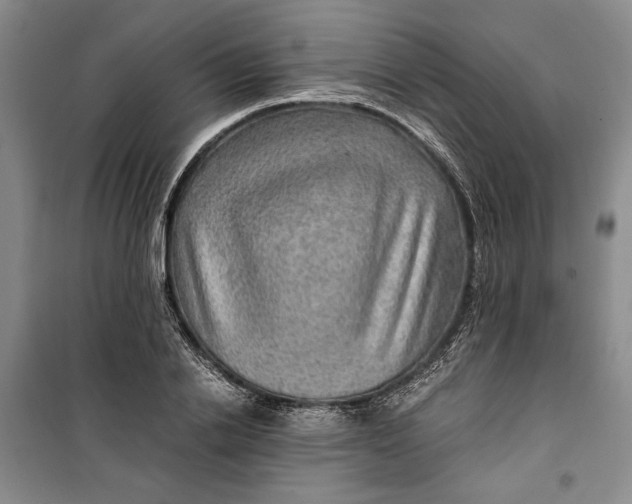 X0000099990838200806131433