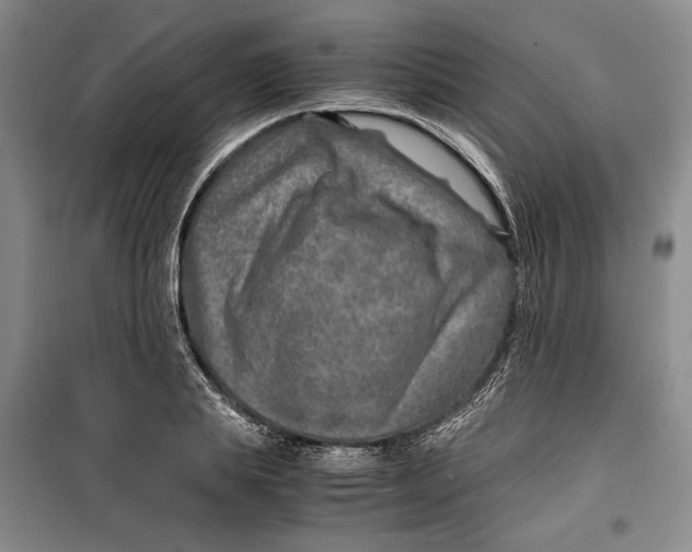 X0000099990839200806131433