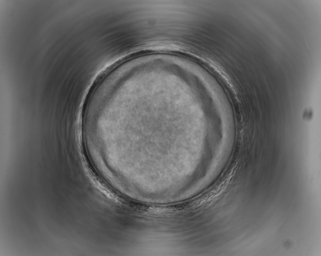 X0000099990840200806131433