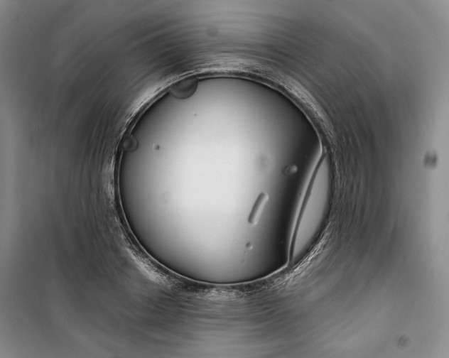 X0000099990842200806131433