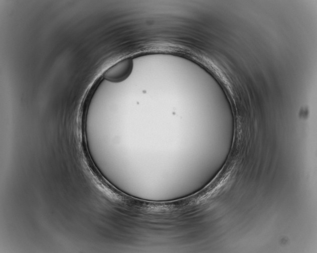 X0000099990843200806131433