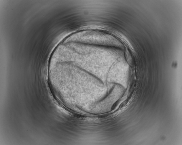 X0000099990844200806131433