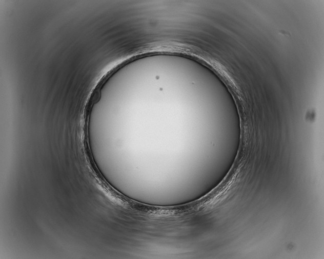 X0000099990846200806131433