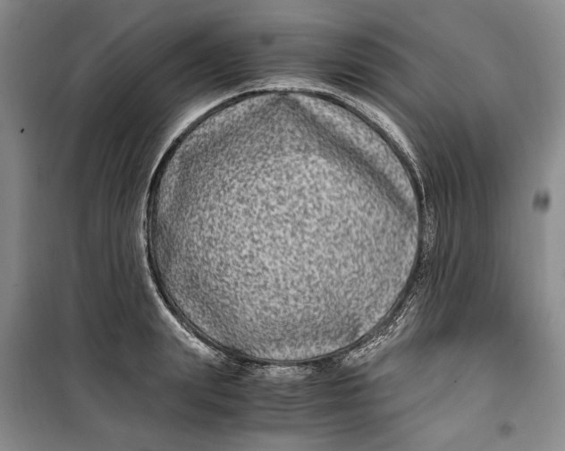 X0000099990847200806131433