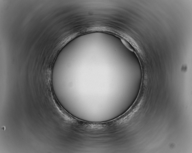 X0000099990849200806131433