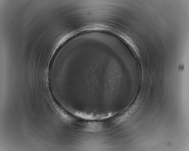 X0000099990850200806131433