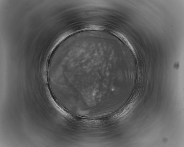 X0000099990851200806131433