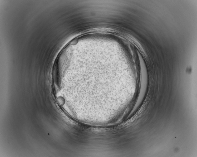 X0000099990852200806131433