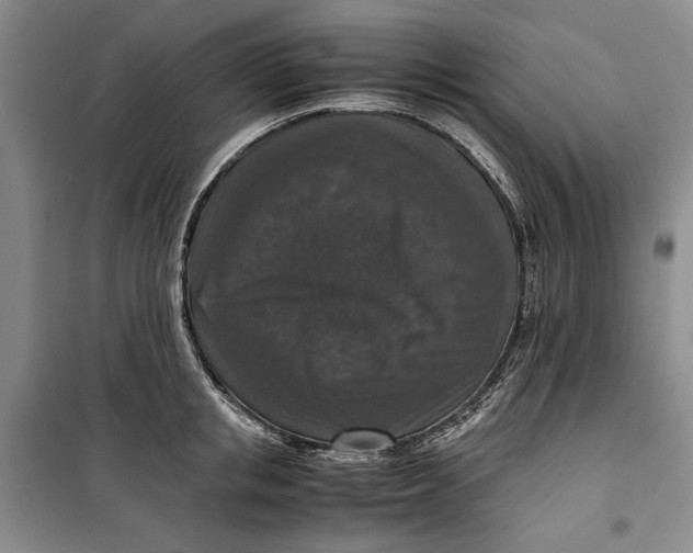 X0000099990853200806131433