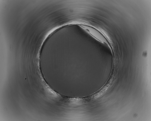 X0000099990854200806131433